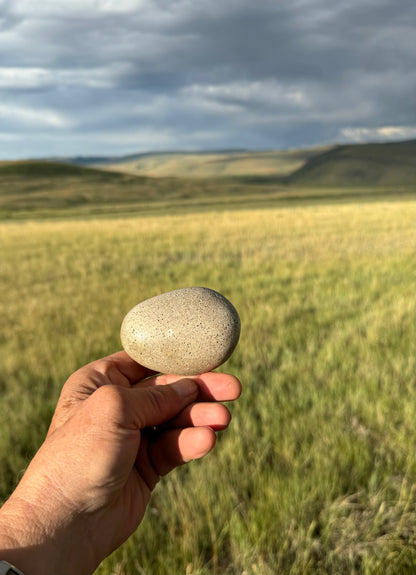 Rocky Mountain Collection