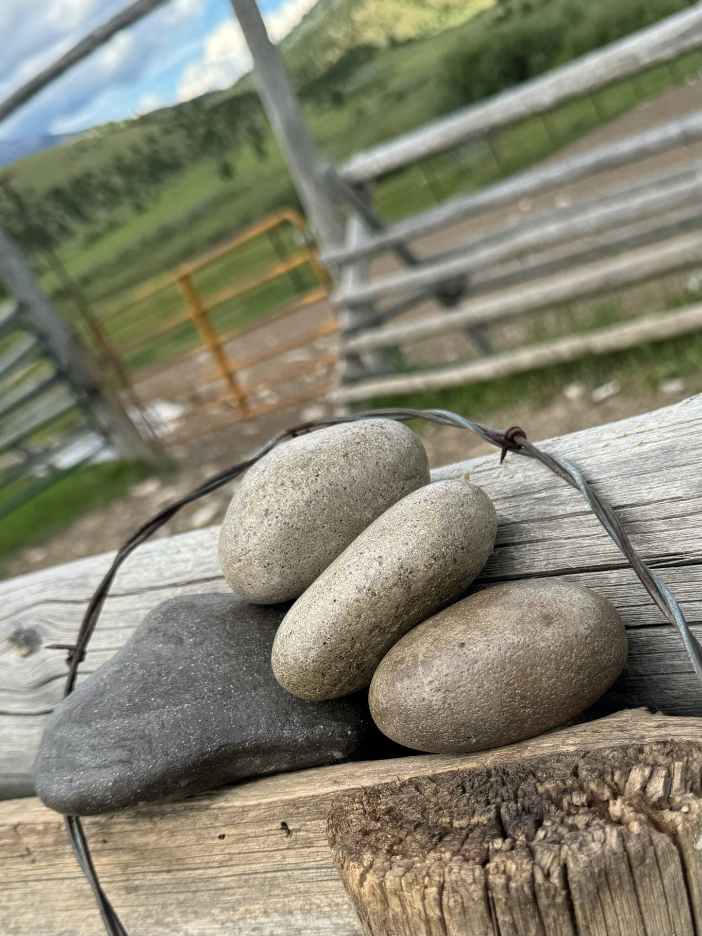 Rocky Mountain Collection