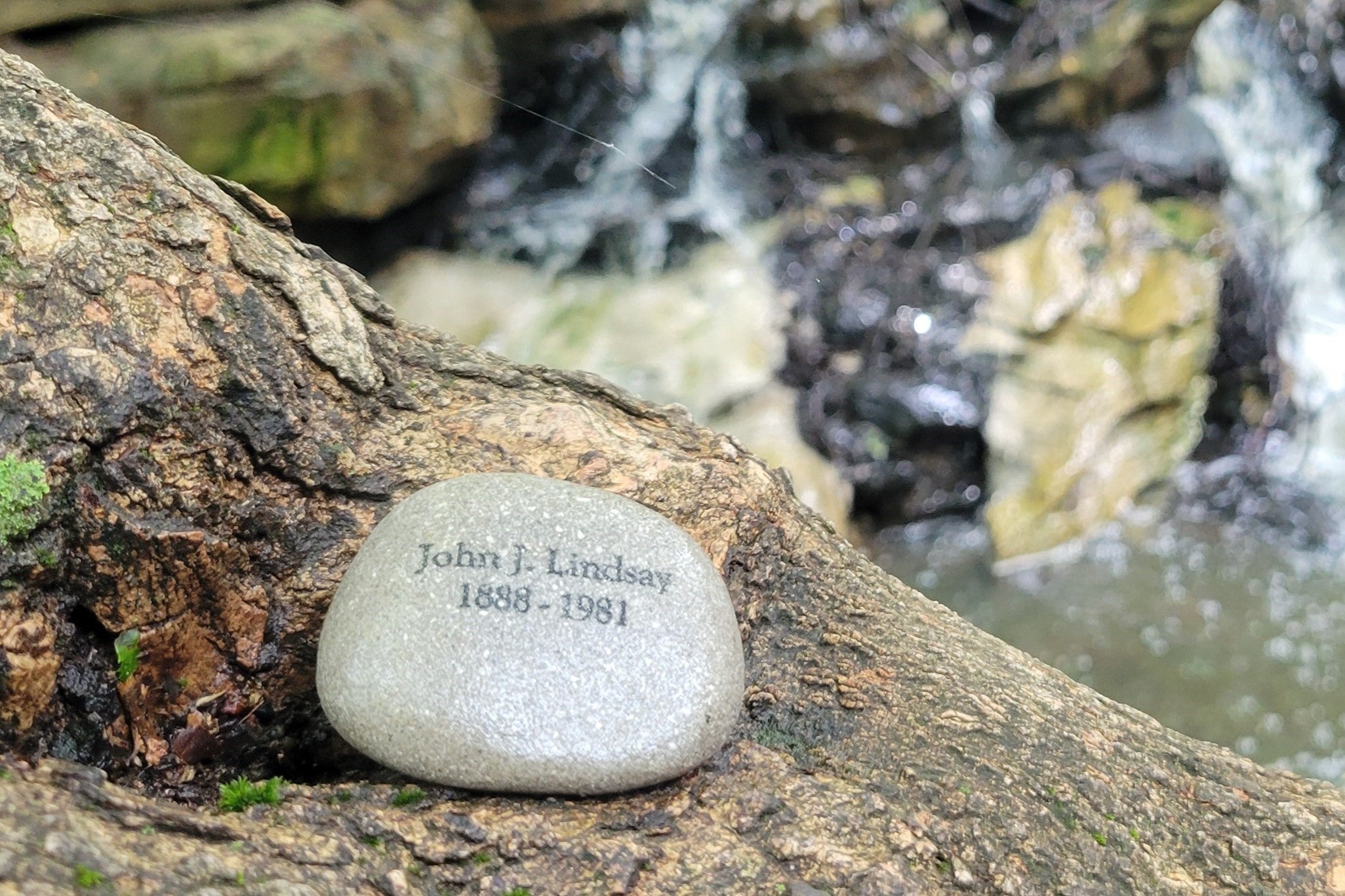 Grey cremation stone engraved with "John J. Lindsay 1888-1981" in black font. Stone is sitting in the nook of a tree with moss to the left. In the background is a beautiful waterfall flowing over stones